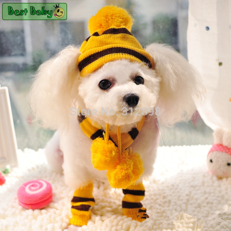 Musim dingin Anak Anjing Pelih - Baby Products Best ulasan dan harga